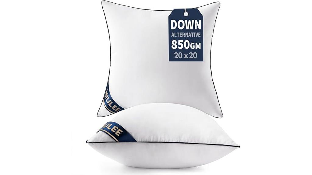 20x20 pillow insert set