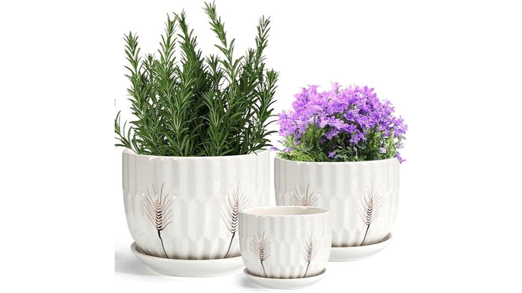 ceramic plant pot trio