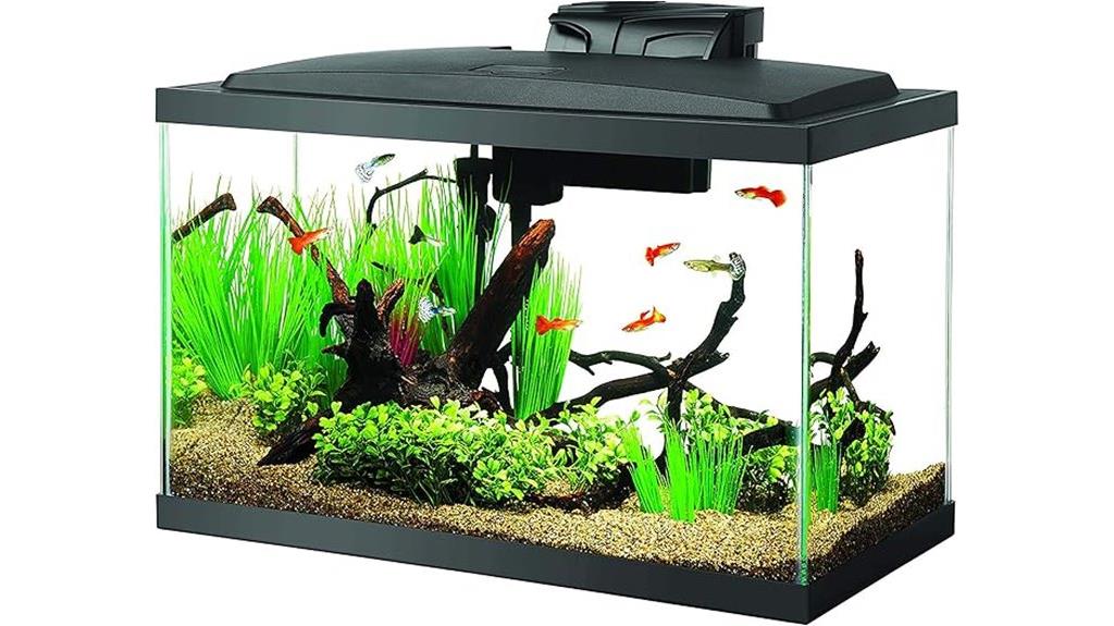 10 gallon starter fish tank