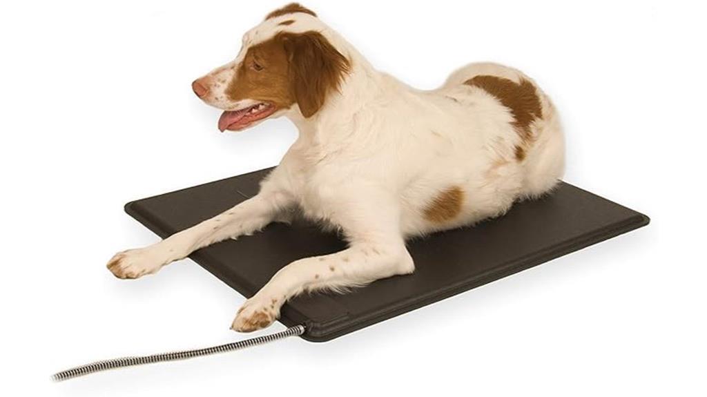 heated outdoor dog pad