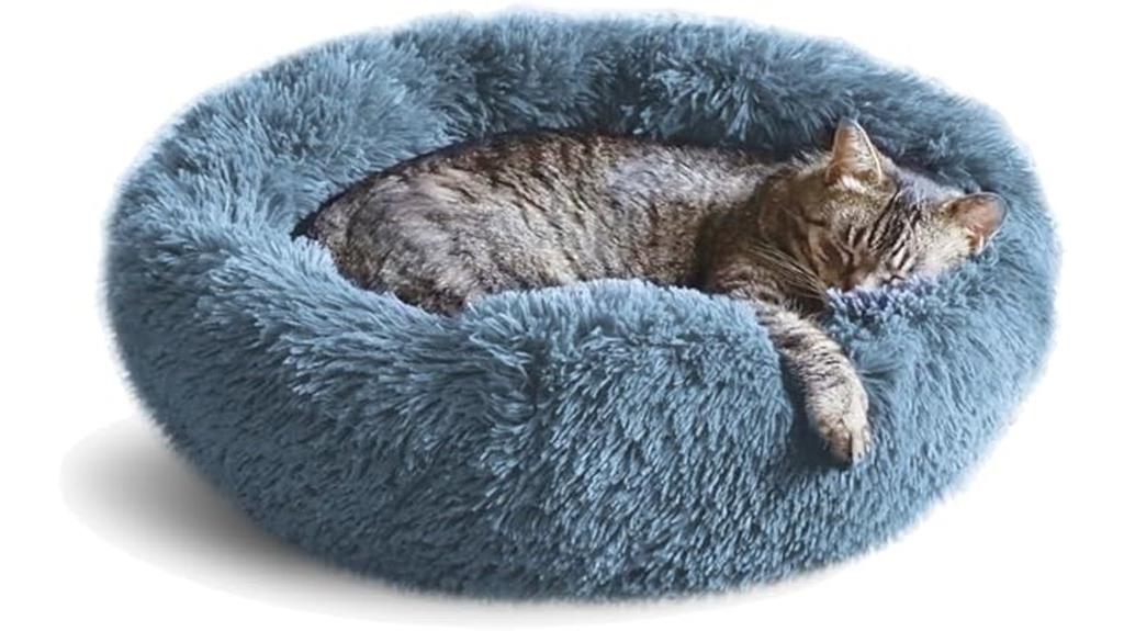 indoor cat bed comfort