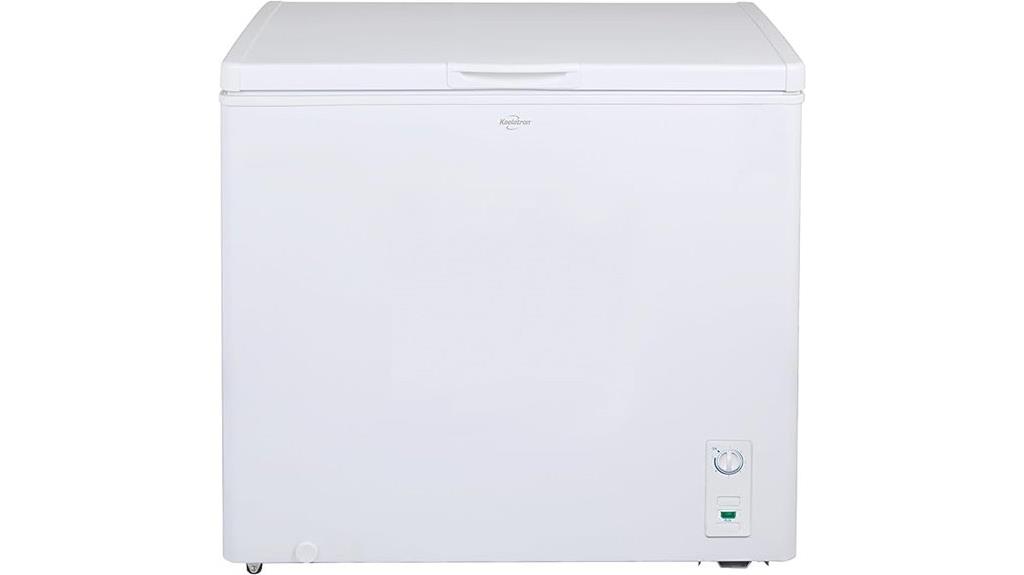 large capacity chest freezer