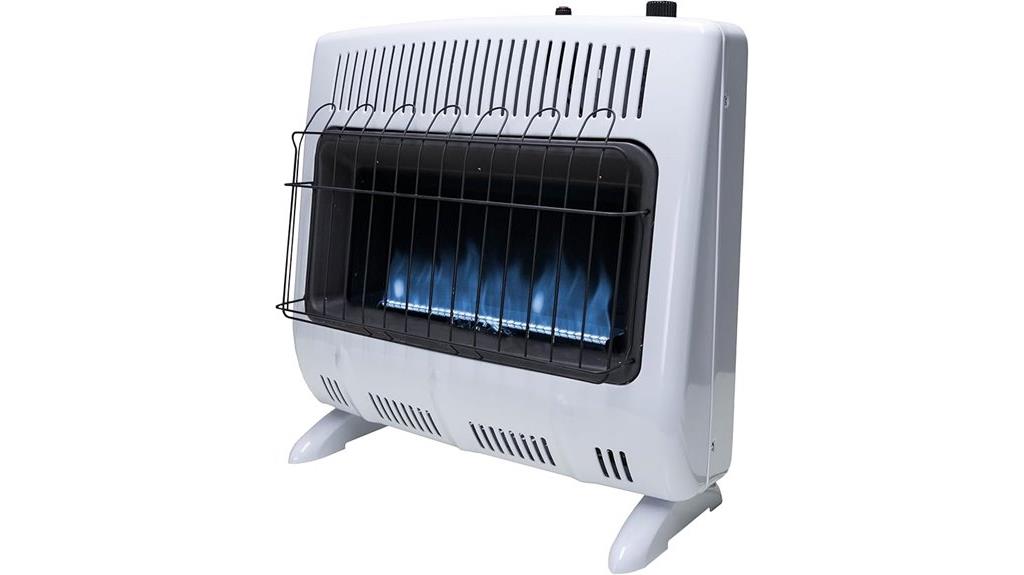 propane heater 30 000 btu