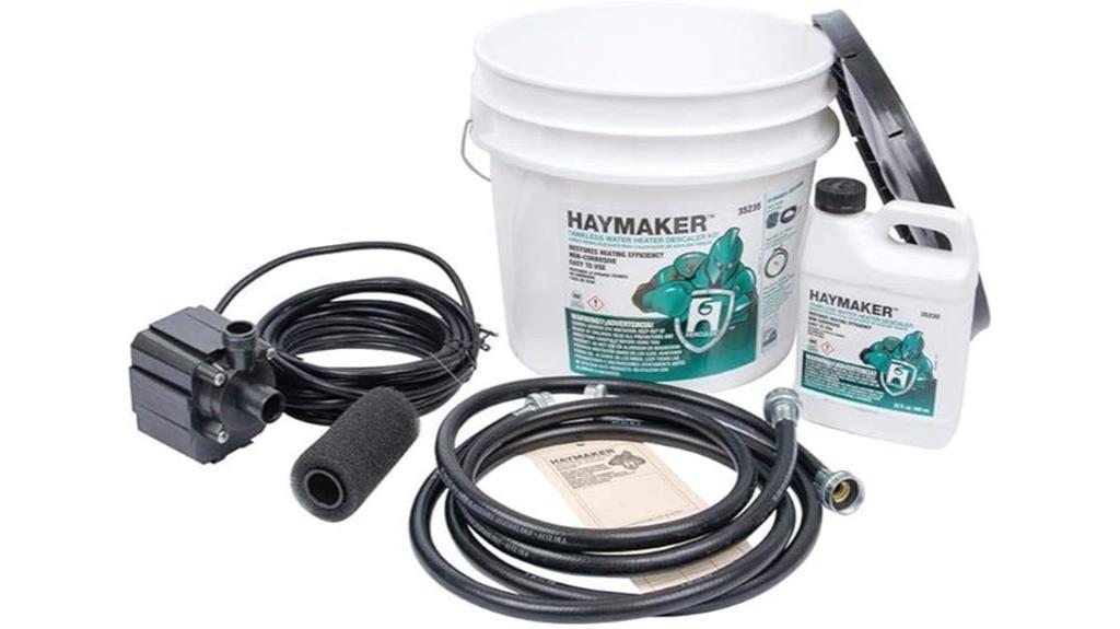 tankless water heater descaler