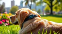 top gps dog collars