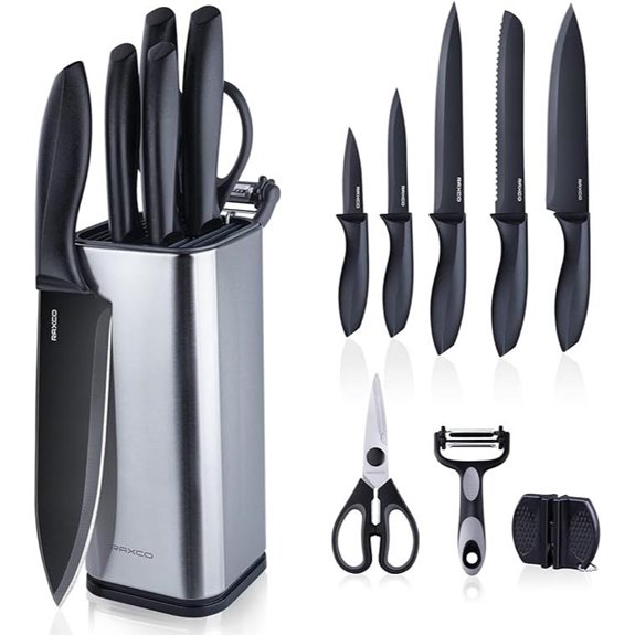 RAXCO 10-Piece Stainless Steel Knife Set