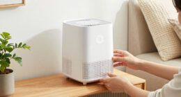 15 Best Mini Dehumidifiers in 2026
