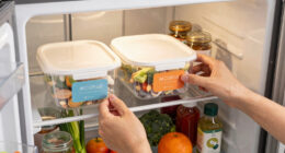 9 Best Refrigerator Organizers in 2026