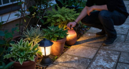 14 Best Solar Garden Lanterns for Outdoor Ambience in 2027